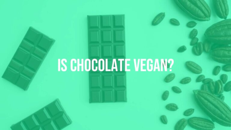 Is chocolate vegan?