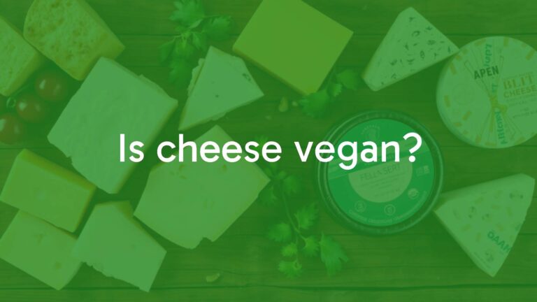 Is cheese vegan?