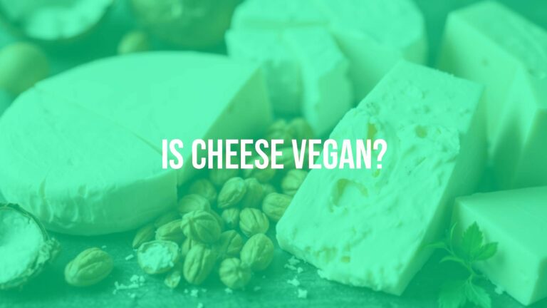 Is cheese vegan?