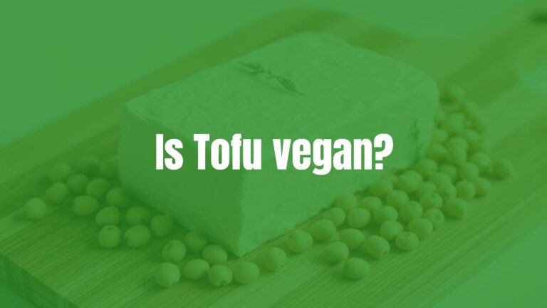 Is Tofu vegan?