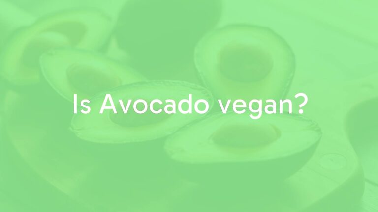 Is Avocado vegan?
