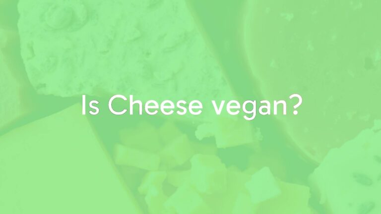 Is Cheese vegan?