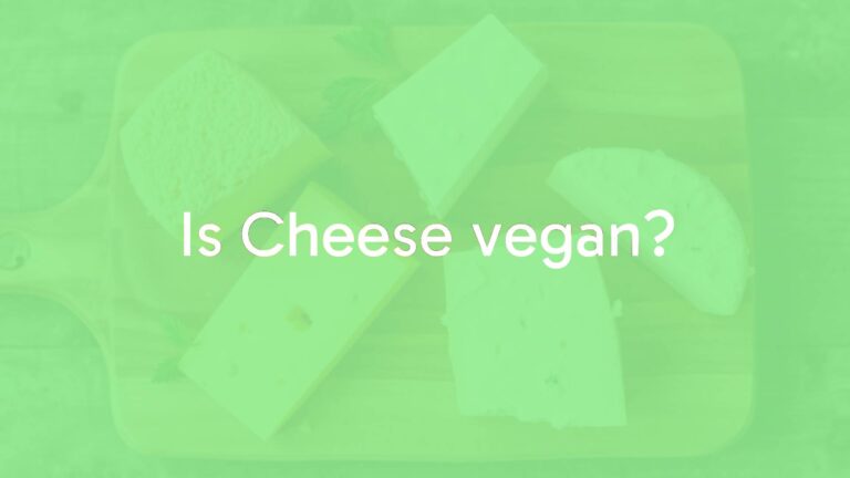Is Cheese vegan?