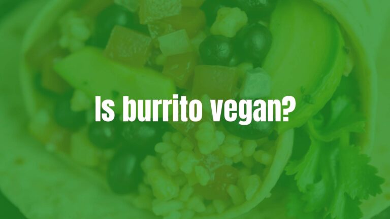 Is burrito vegan?